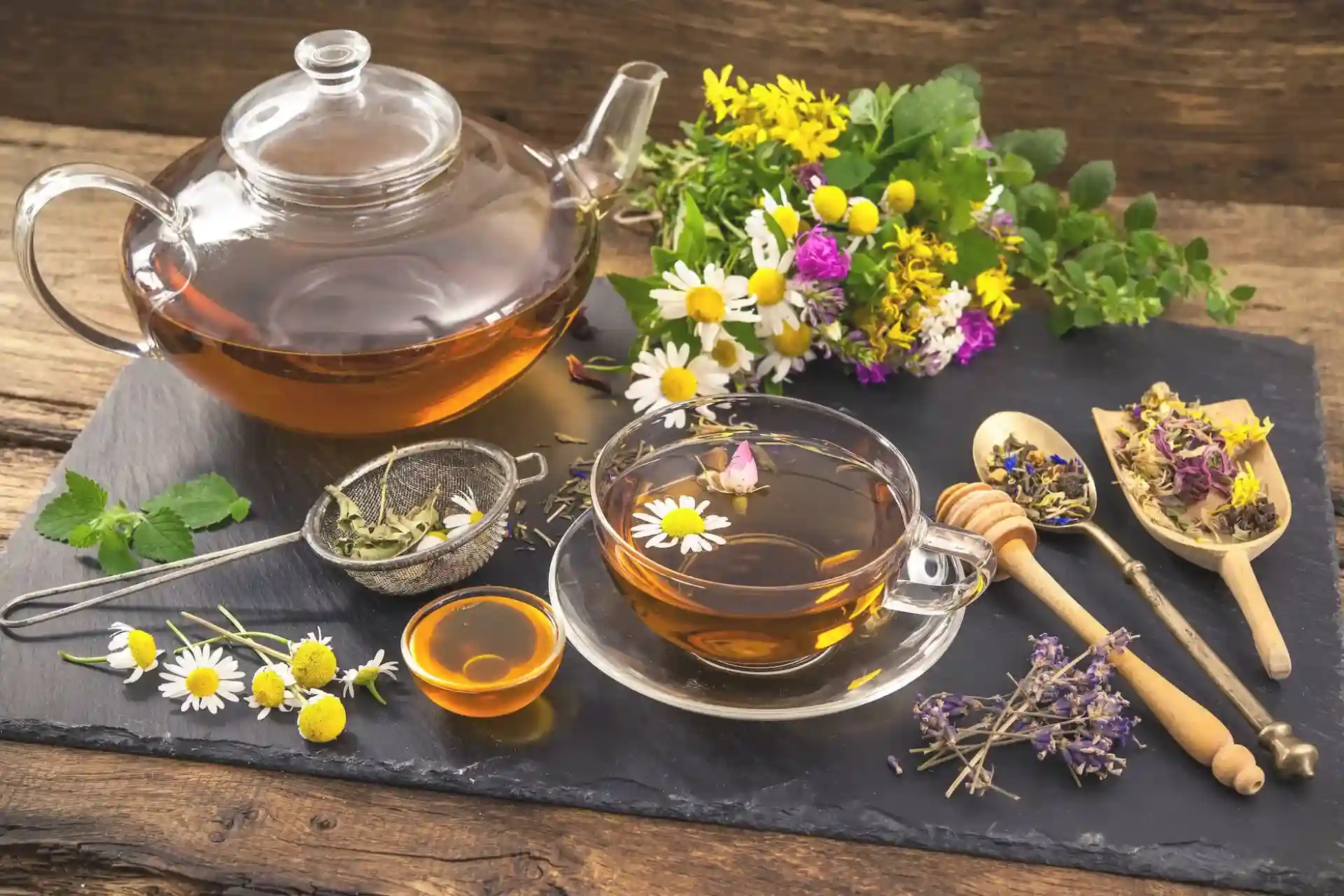 holistyczne_terapie_manualne_bartlomiej_kozuch usatwiveia systemie totalna biologia osteopatia mikrokinezyterpaia biokinezjologia NST naturopatia